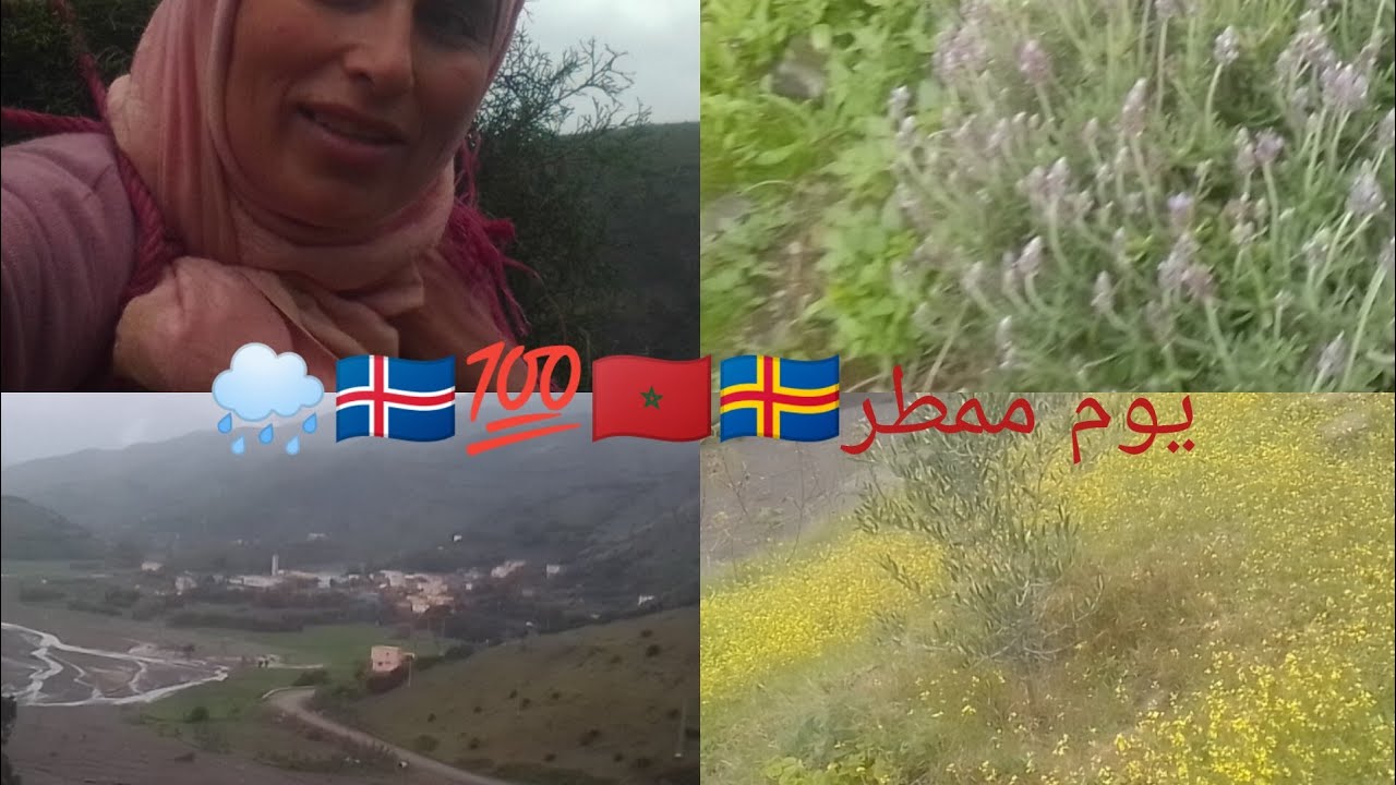 أجواء البادية ❤❤ مشيت نحطب تحت أمطار الخير بقريتينا ❤️🌧️🤲 الجالية المغربية المقيمة بالخارج 