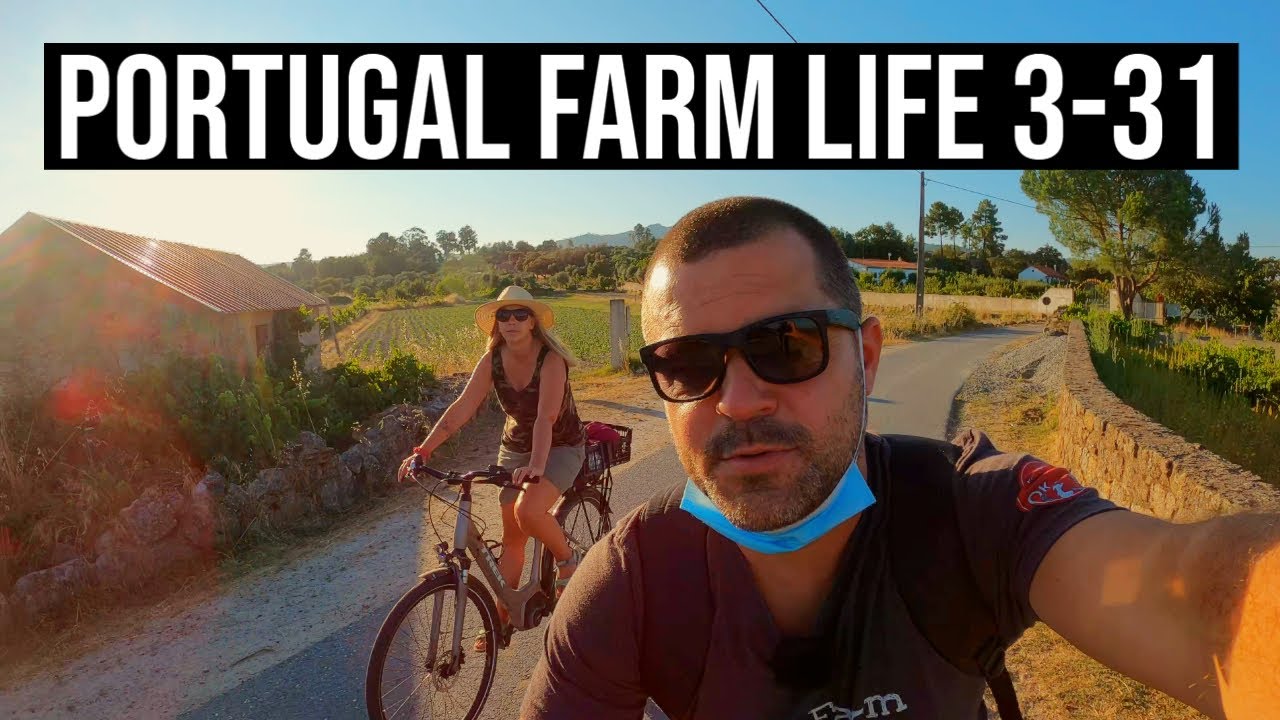 LIVING the GOOD LIFE on a FARM in CENTRAL PORTUGAL| PORTUGAL FARM LIFE S3-E31 ☀