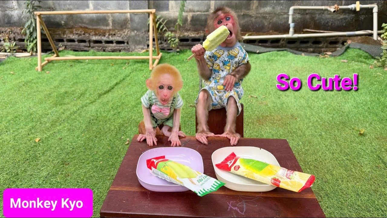 Kyo and BuNa cool off with delicious fruit Ice cream - So cute!