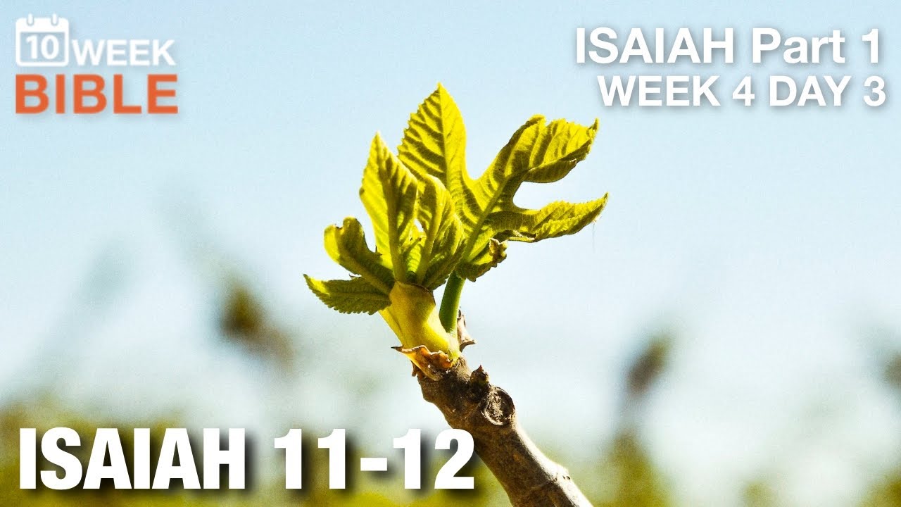 Branch from Jesse | Isaiah 11-12 | Week 4 Day 3 Study of Isaiah Part 1