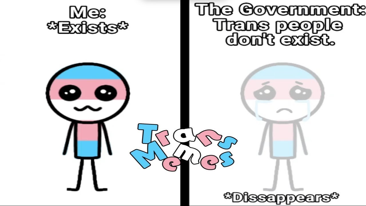 🏳️‍⚧Trans Memes For Those Who Don't Exist, Trans Memes🏳️‍⚧