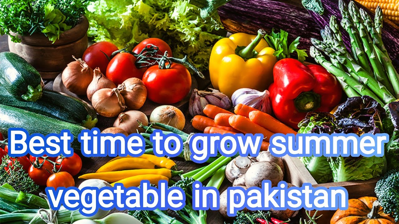 Best time to grow summer vegetable in pakistan