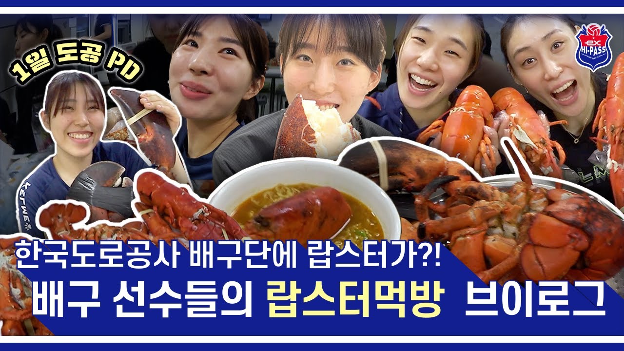 한국도로공사 배구단에 🦞랍스터🦞가?! 배구 선수들의 랍스터먹방 브이로그📹