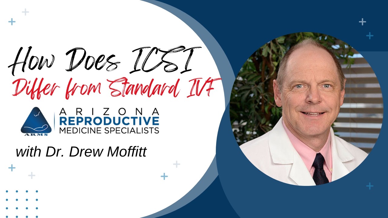 Dr.  Moffitt discusses the difference between ICSI and IVF