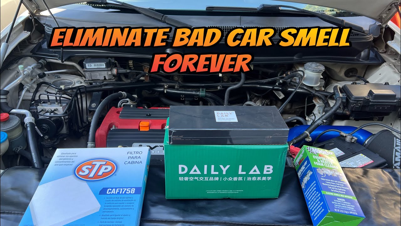 Eliminate Bad Smell From your Car - Honda Element