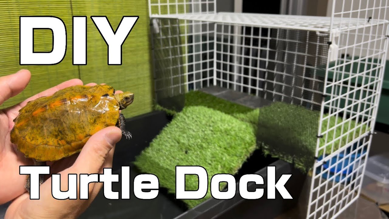 100均だけで簡単にイシガメの陸地を作ってみました。BEST DIY HOMEMADE TURTLE DOCK EVER. 【JAPANESE POND TURTLE】