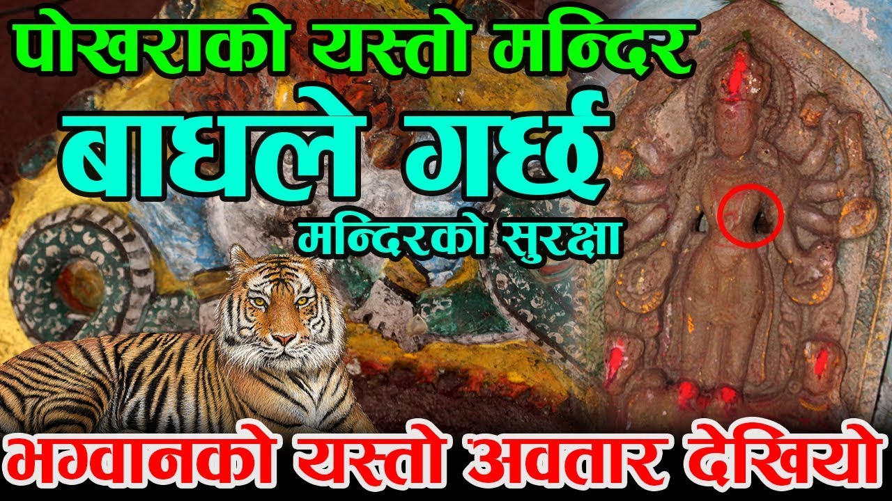 OMG पोखरामा यस्तो मन्दिर ! बाघ र सर्पले गर्छन् मन्दिरको सुरक्षा | मुर्ति भित्र भेटियो अनौठोको जीव