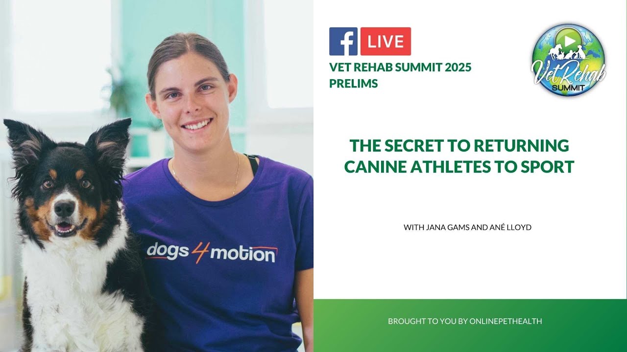 The Secret to Returning Canine Athletes to Sport - Safely, with Jana Gams