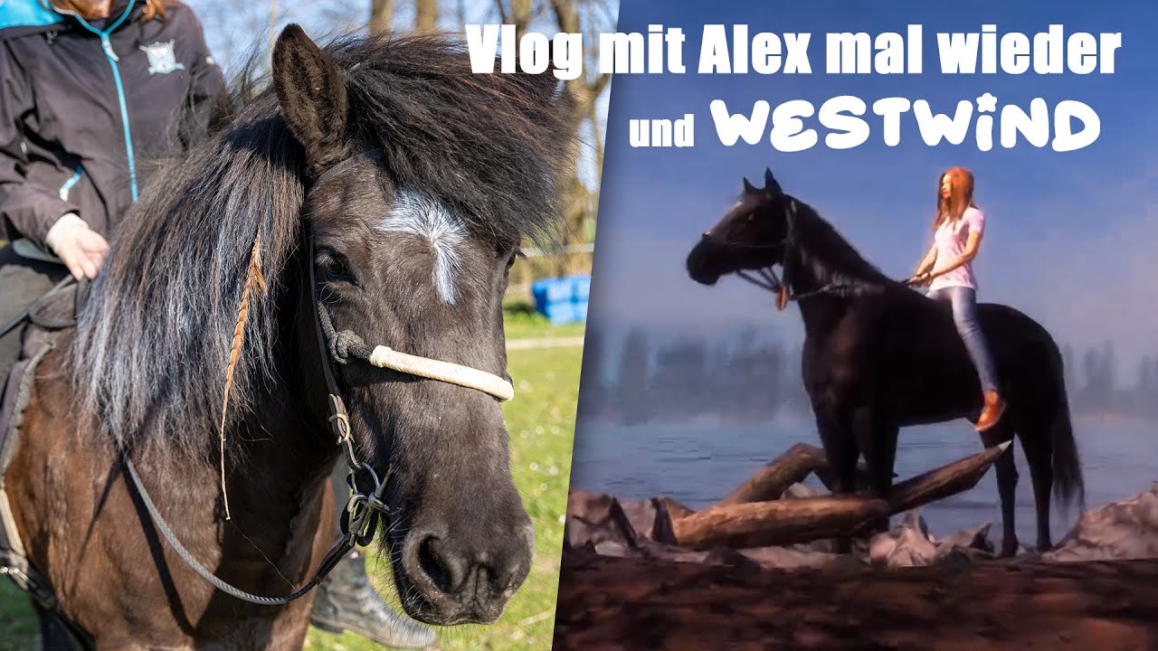 Vlog mit Alex (wir reden über OSTWIND und SIND WESTWIND) | Janas ViLögg