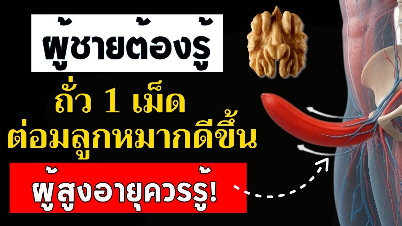 แพทย์เผย! ถั่วชนิดนี้อาจช่วยดูแลขนาดต่อมลูกหมาก ความลับที่ผู้ชายสูงวัยควรรู้