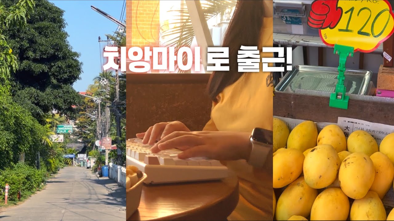 나 혼자 치앙마이 한달 살기🇹🇭: 먹고 일만 해도 행복쓰