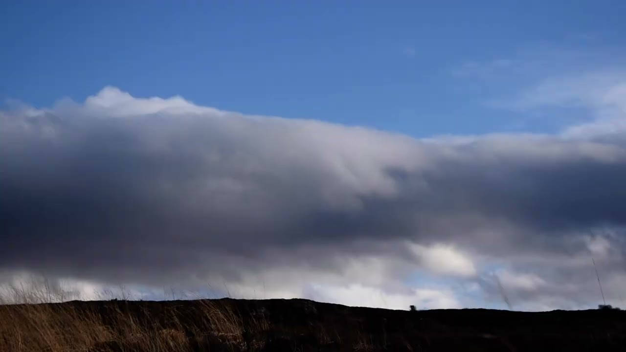 Heavy Breathing & Sniffing ASMR.  A Walk w/ Sulwyn