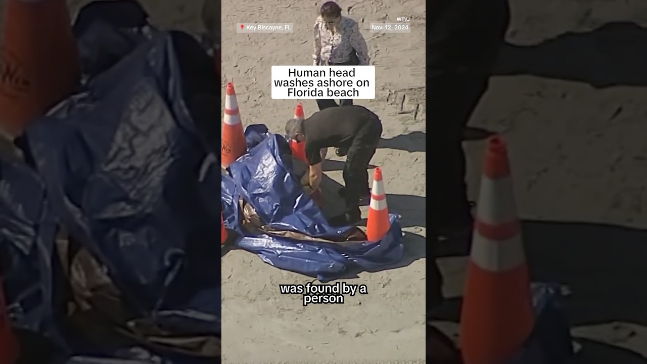 Human head washes ashore on Florida beach