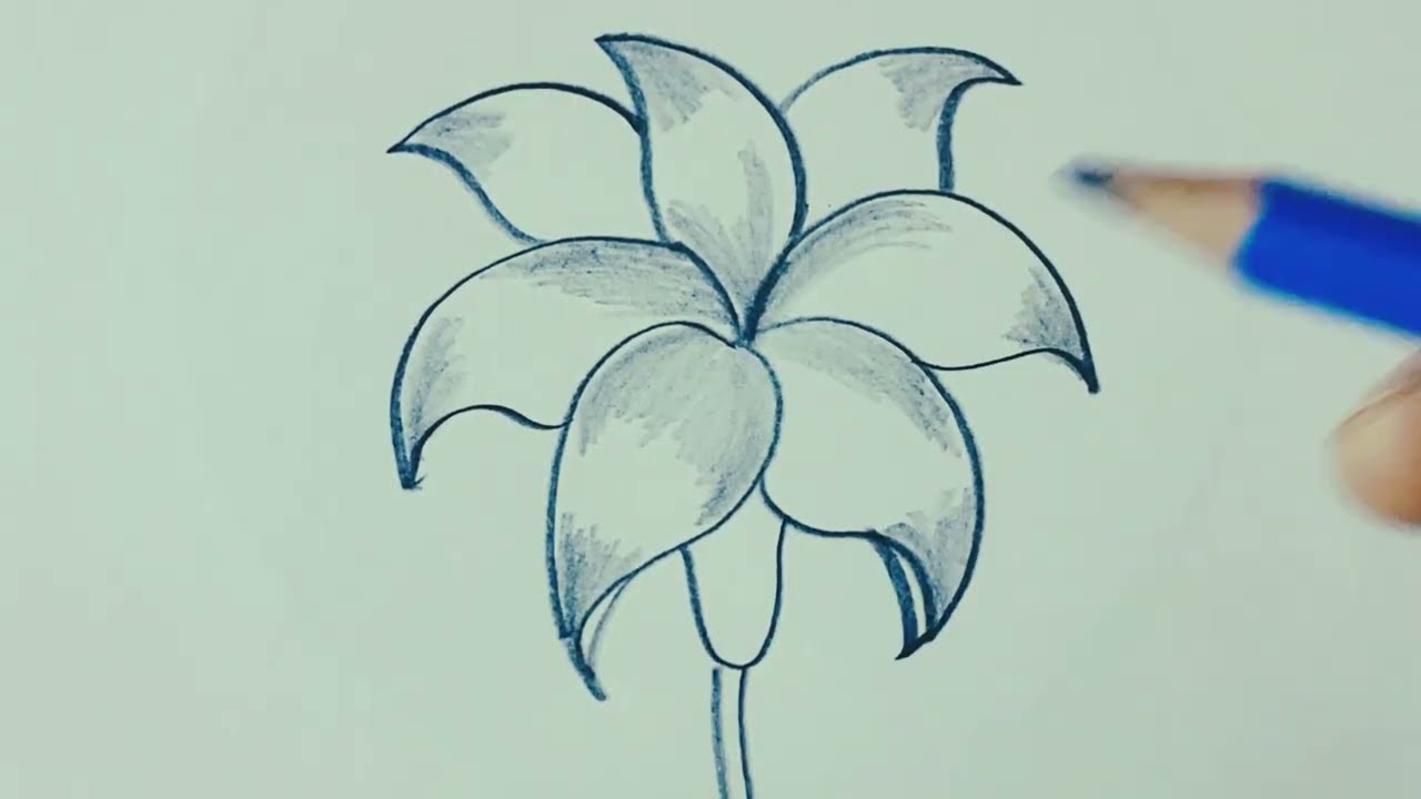 howtodraw flowersdrawing esaydrawing 