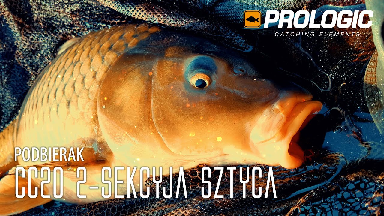 Prologic - Podbierak CC20 2-sekcyjna sztyca