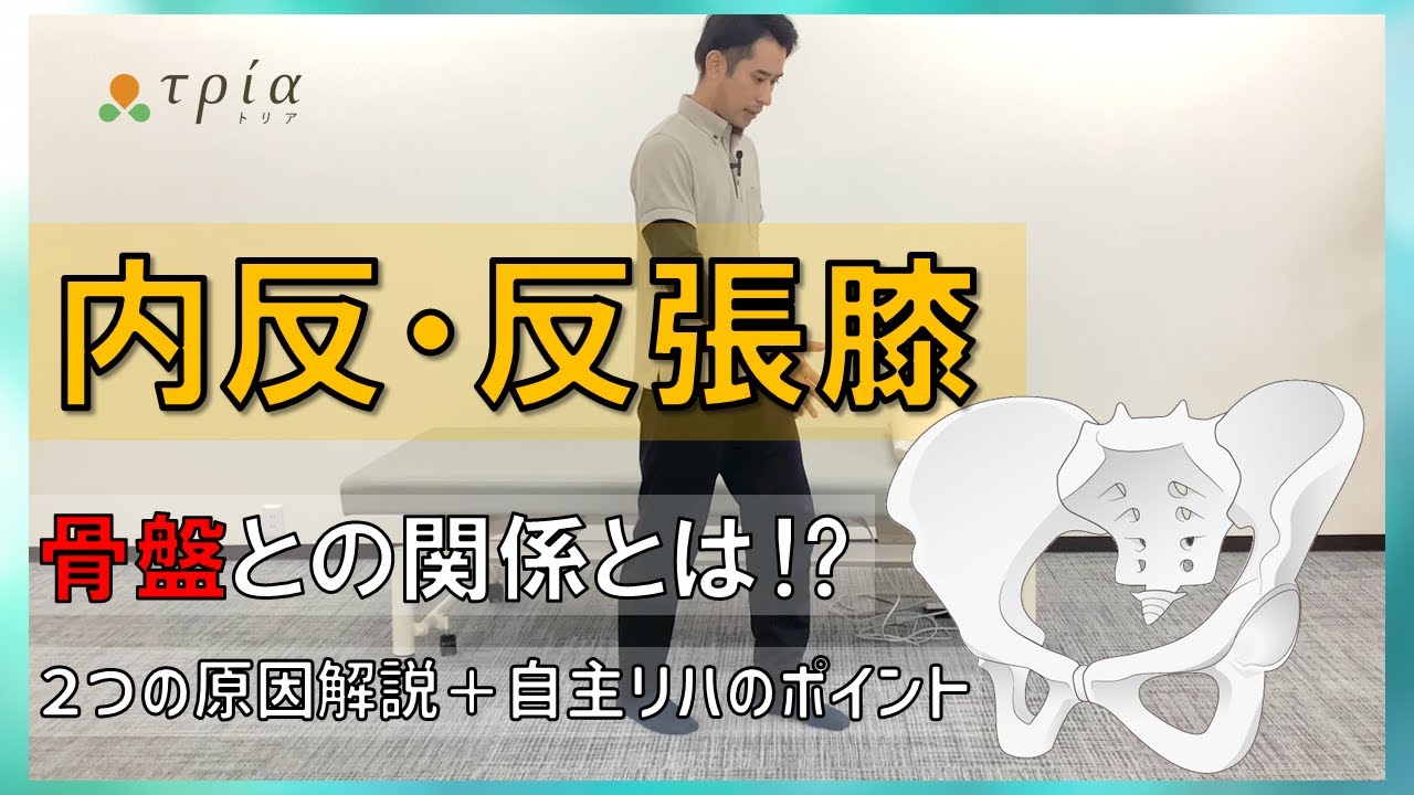 【脳卒中/内反と反張膝】骨盤や股関節との関係とは⁉