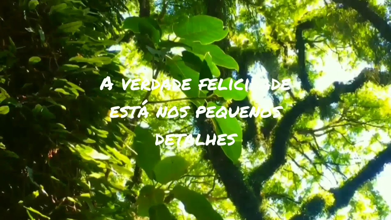 Momentos simples do nosso cotidiano.