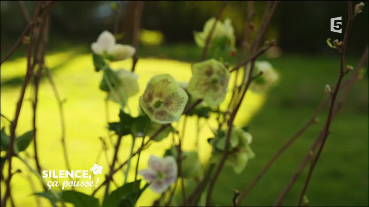Silence, ça pousse ! - Intégrale du 16/05/2016