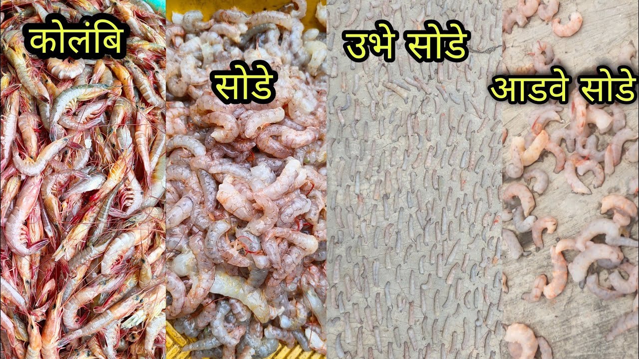 ऊभे सोडे आणि आडवे सोडे यांच्यात  काय फरक असतो तो जानून घ्या.
