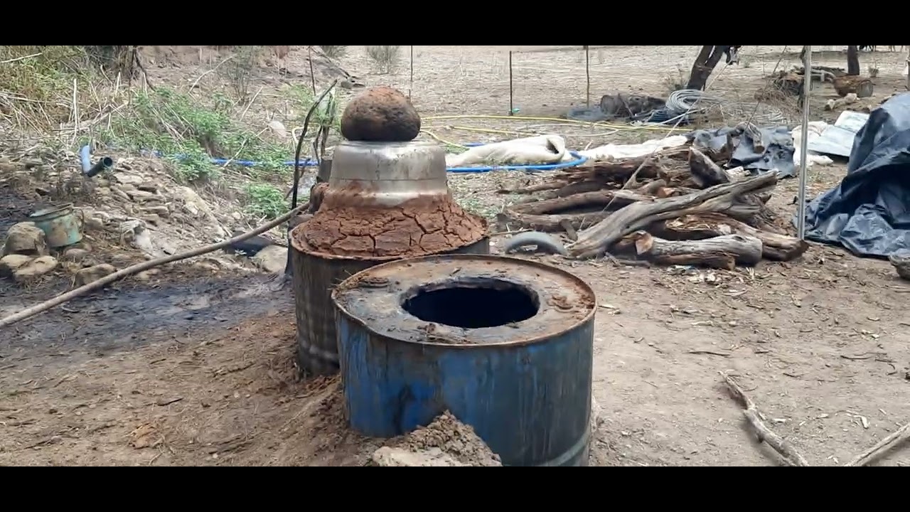 El Bacanora es un destilado originario del estado de Sonora, México