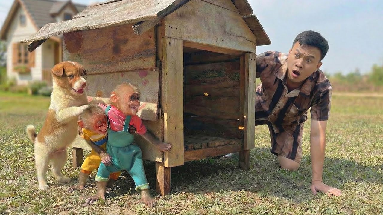 Monkey Bon & Moon Sneak Out to Play &ndash; Dad Worries and Searches Everywhere! 😲
