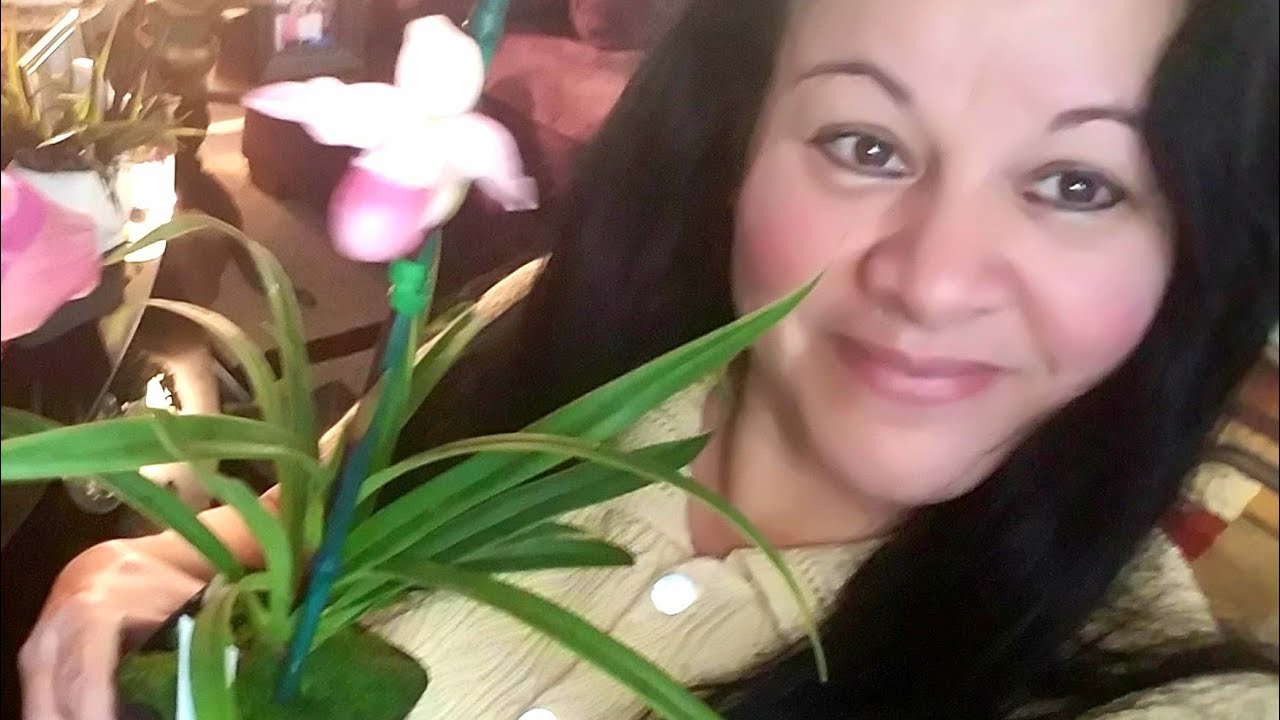 Mejores sustratos para adaptar todas las Orquídeas ║Orquídeas en el mundo