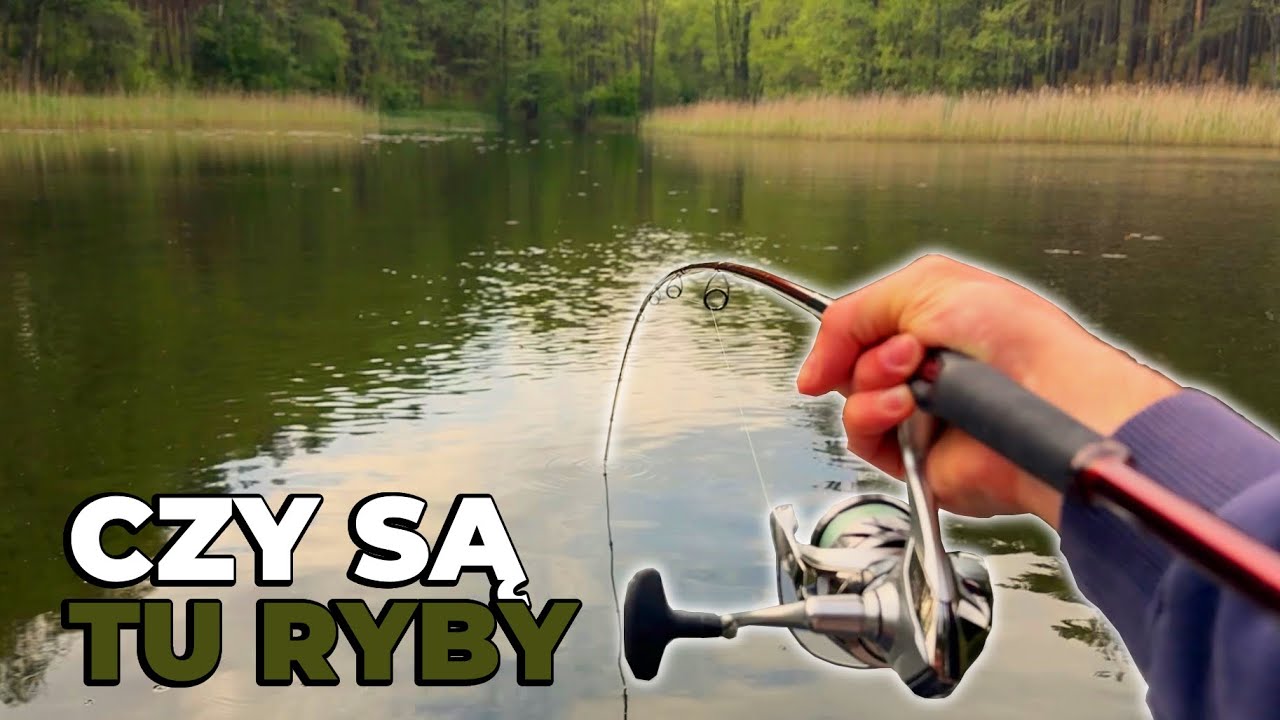 LEŚNE JEZIORKO z DALA OD LUDZI! Szukamy Ryb z Mapy! | Majowy Spinning