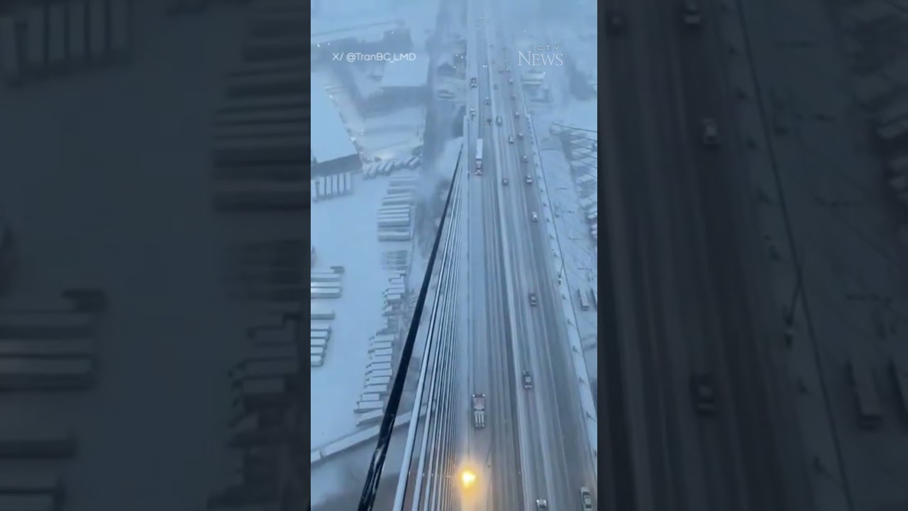 Video shows how snow is cleared from bridge cables in B.C.