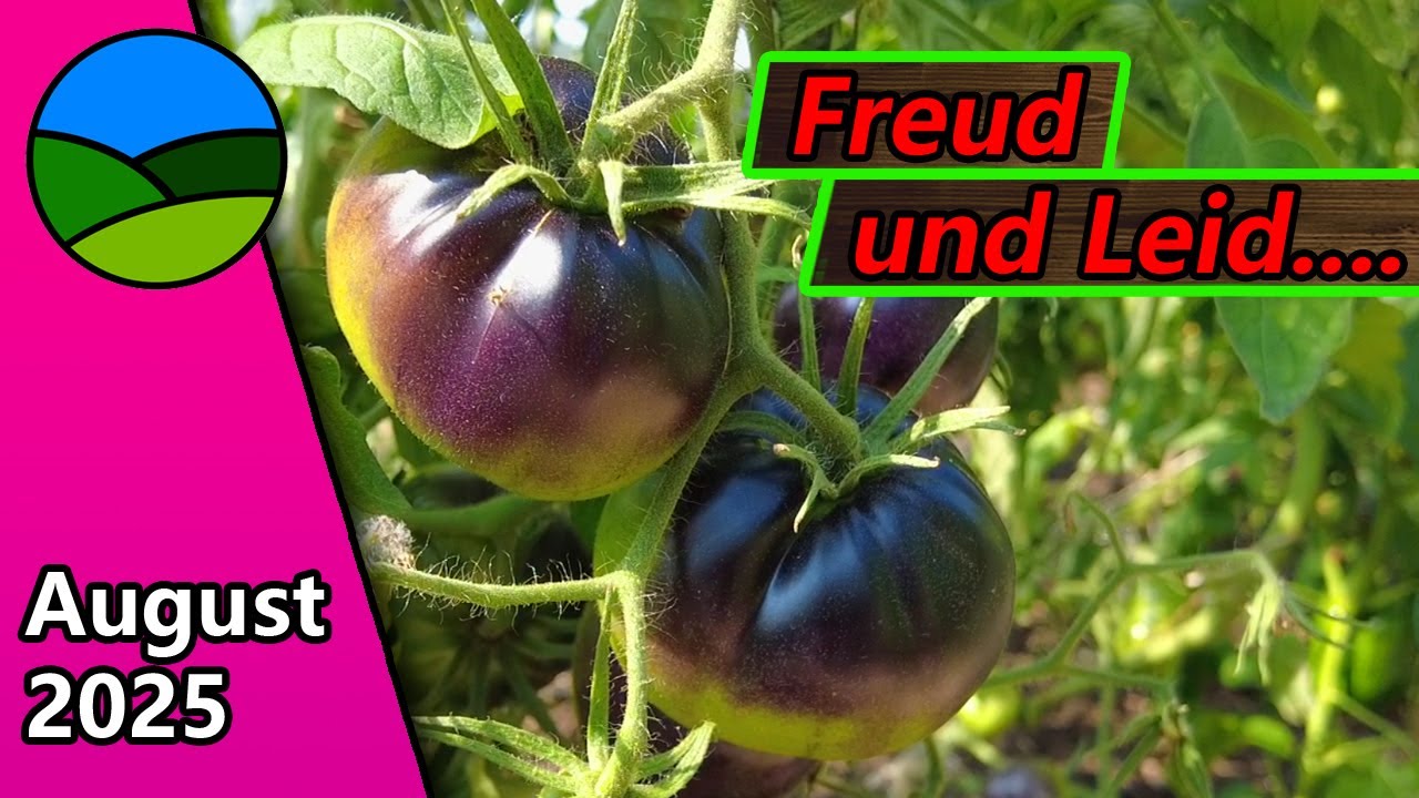 Gartenrundgang August 2025