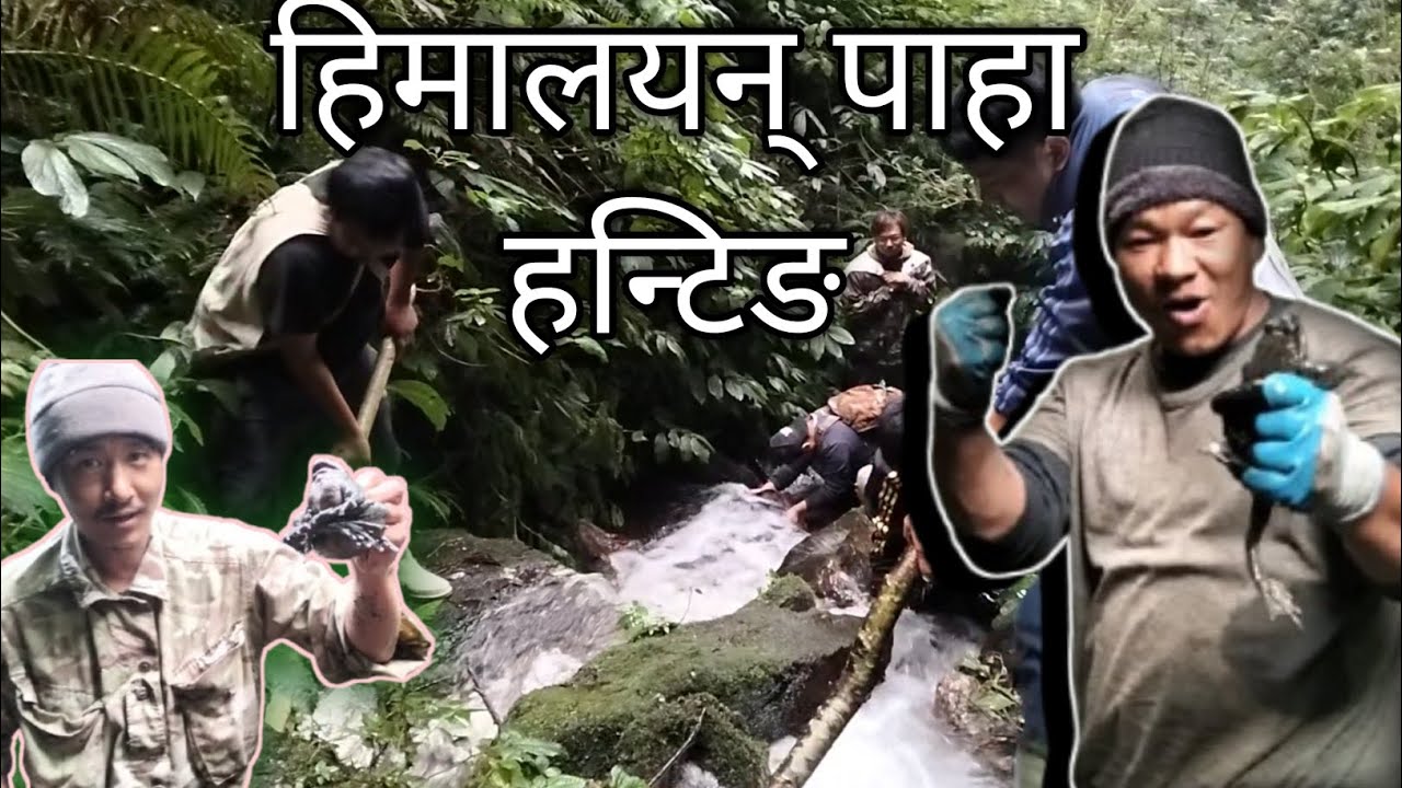 पाहा हन्टिङ् part2