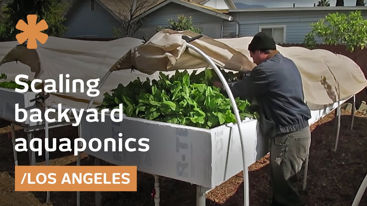 Backyard aquaponics as self-sustained farm in (sub)urban LA