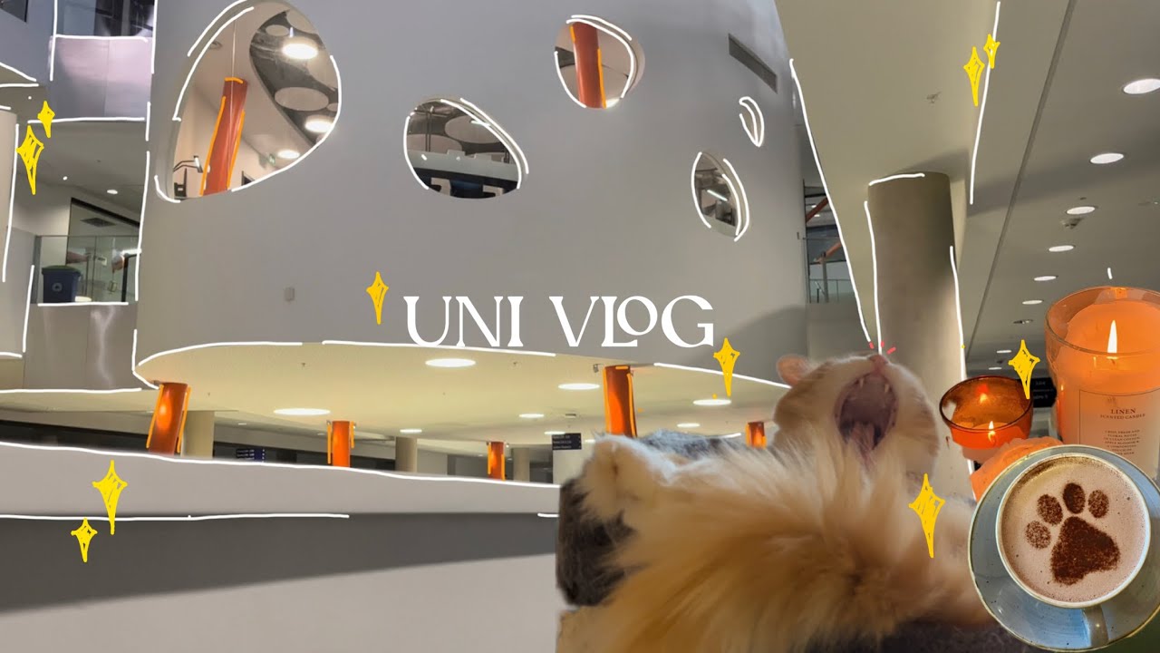 a week in my life at uni 🪩 | the university of sheffield
