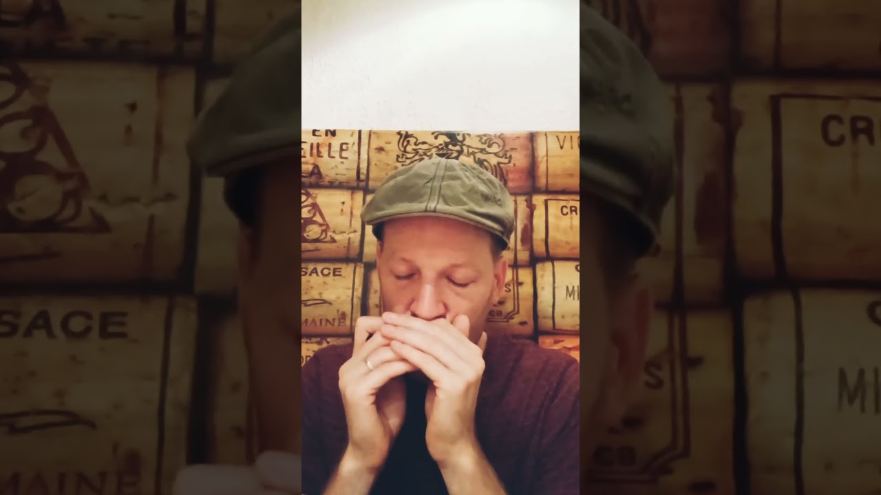 Whistling Rufus - Harmonica 🤠