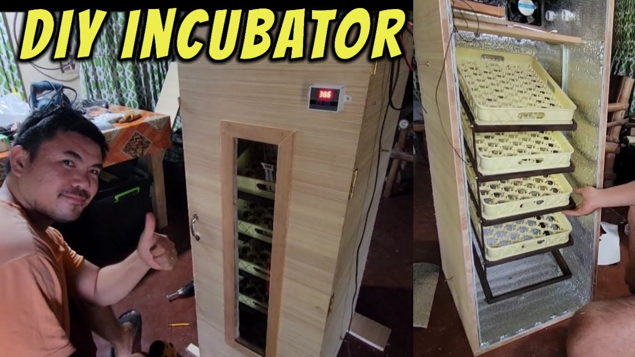 DIY Incubator | How to make incubator