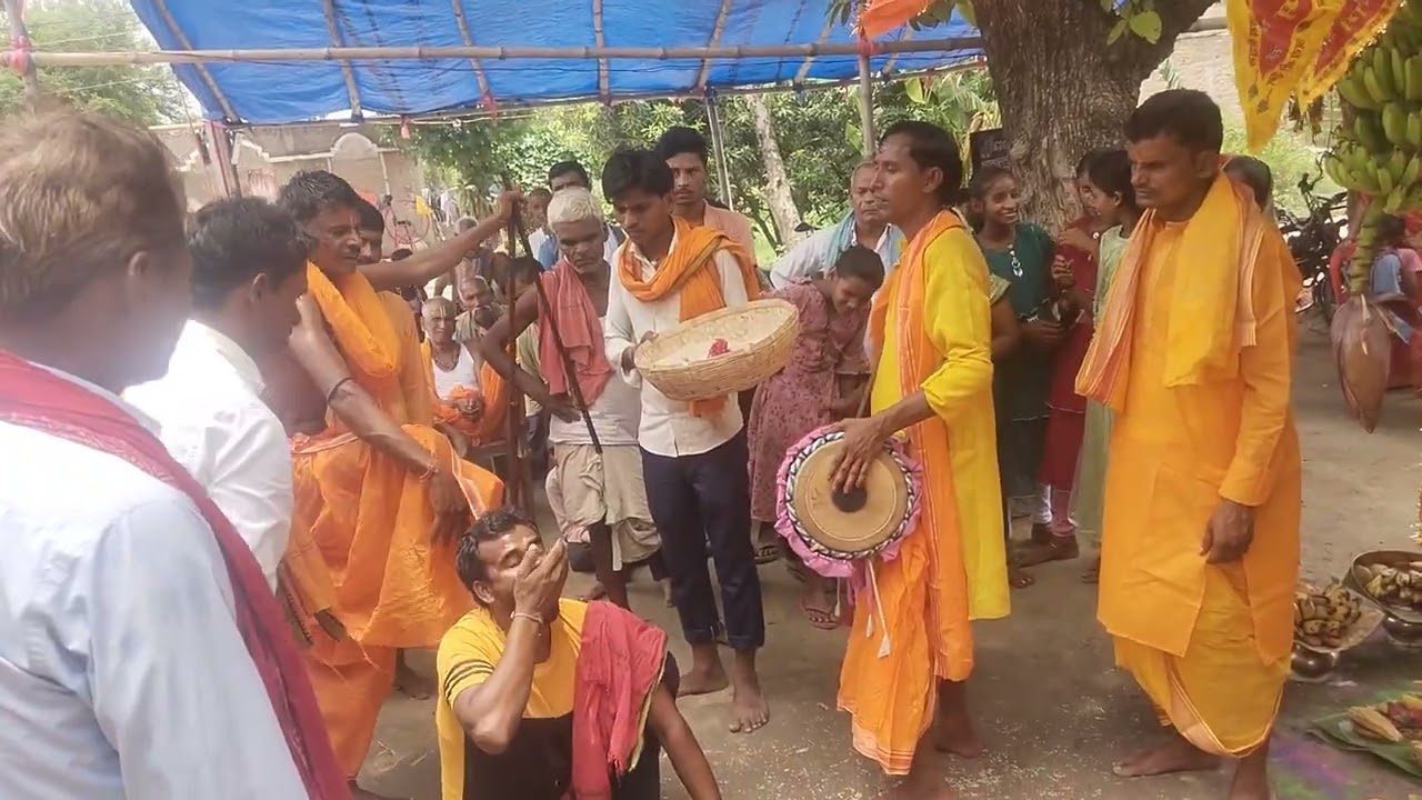 जरूर देखे मनोज राय भगत जी भेती काटते समय 