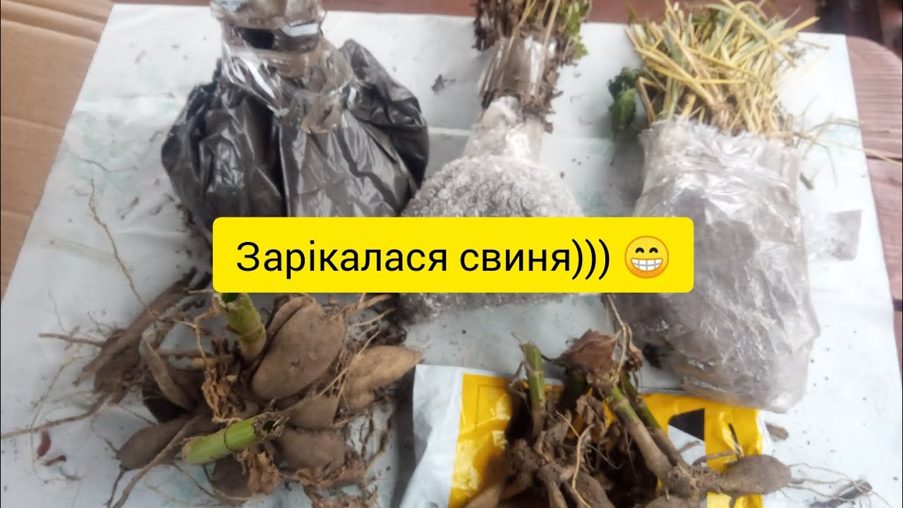 Знову бюджетна посилка: яка, звідки і чому