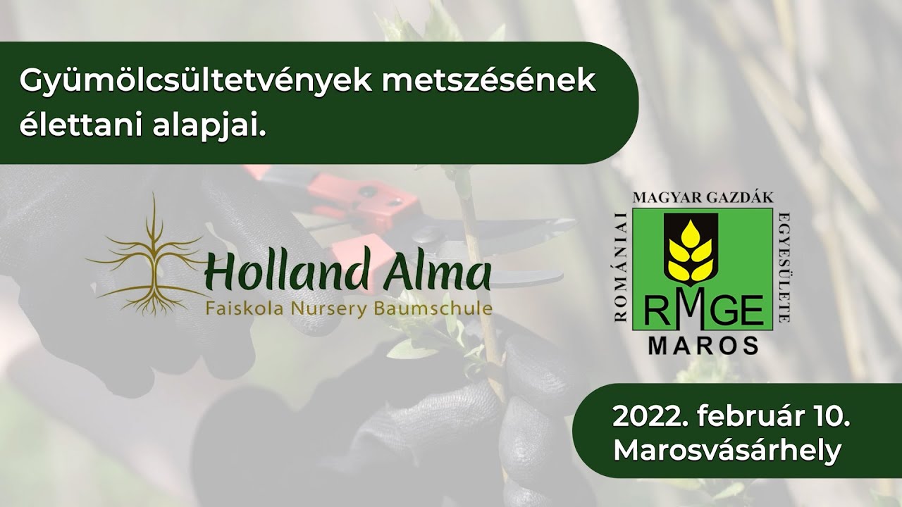 Gyümölcsültetvények metszésének élettani alapjai