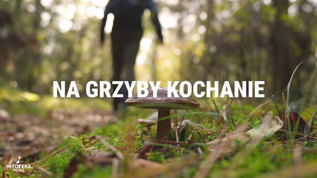 Na Grzyby Kochanie! - Hitoteka Polska 🎧❤️