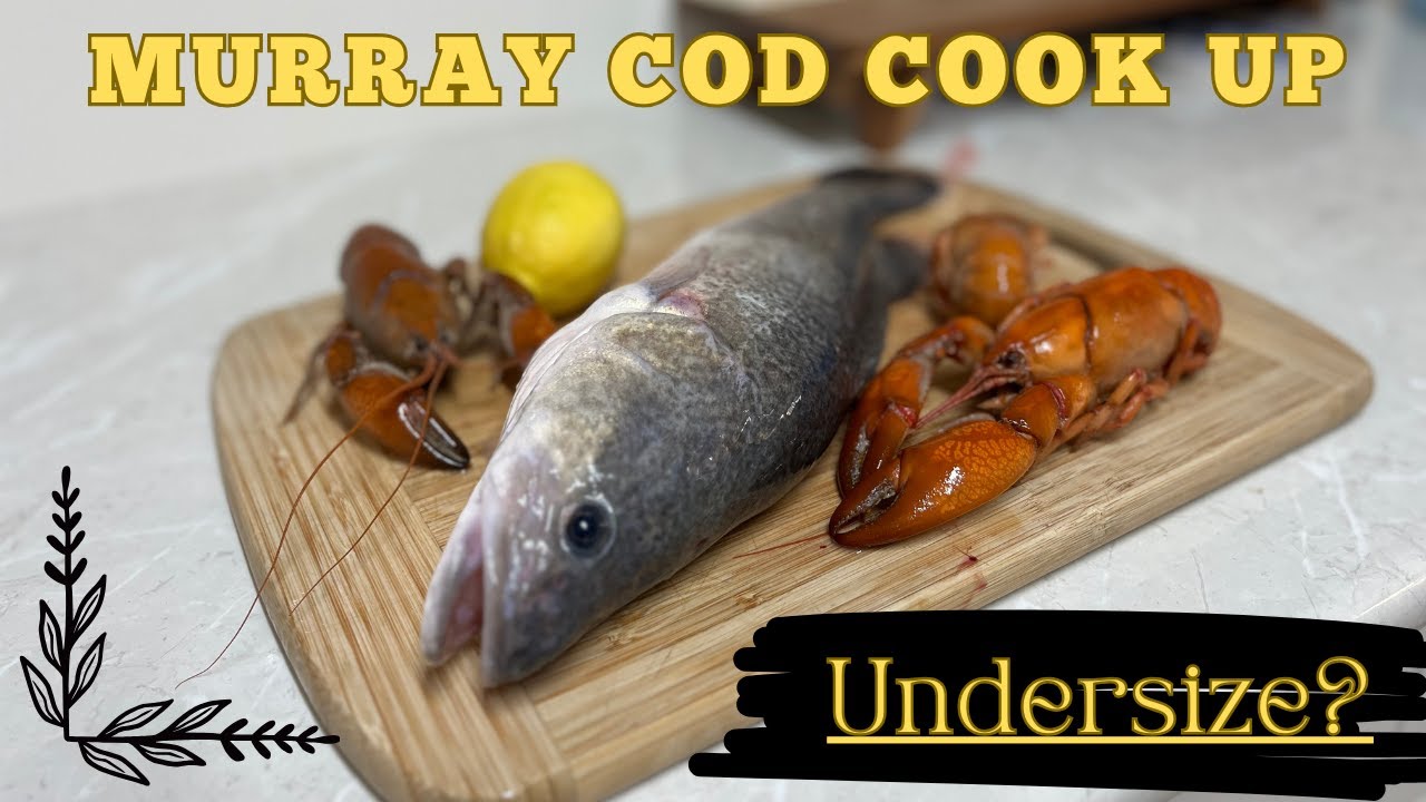 Undersized Murray Cod Ultimate Cook up!
