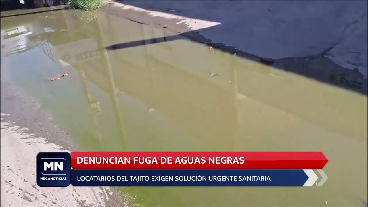 Reportan riesgos sanitarios por brote de drenaje en bulevar El Tajito