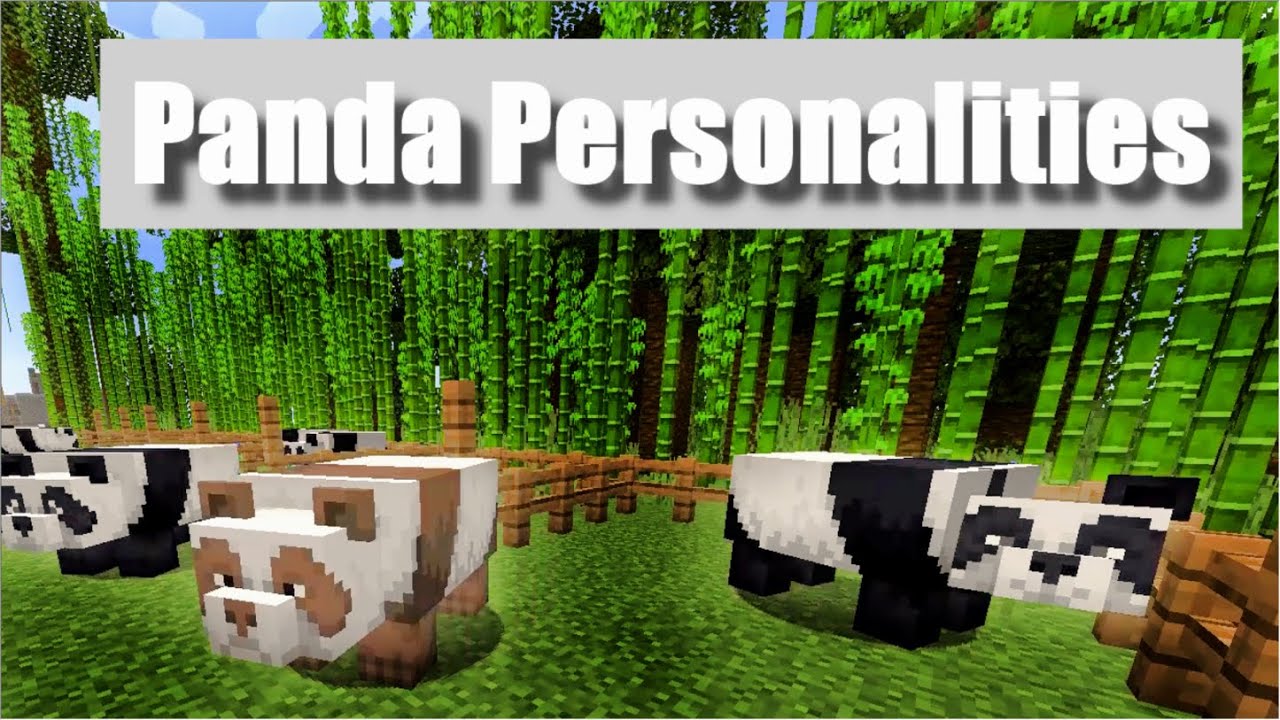 Pandas have Unique Personalities! | Panda Personality Types & Unique Traits | Minecraft Survival