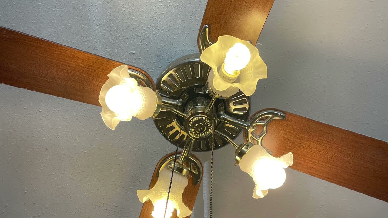 Ceiling Fan Sightings 7