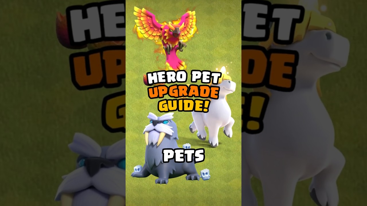 Hero Pet Upgrade Guide For ALL Town Halls! Clash of Clans