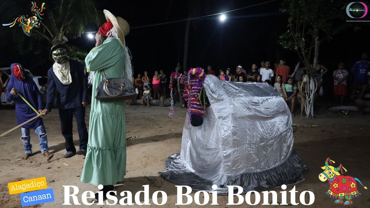 °°° REISADO BOI BONITO °°°
