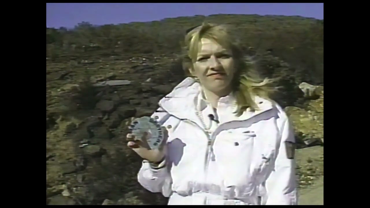 Plane crash kills members of Reba McEntyre's band (17 March 1991)