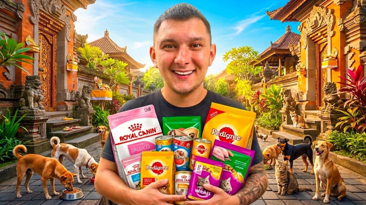 I Fed Hungry Street Dogs & Cats In Bali 🇮🇩