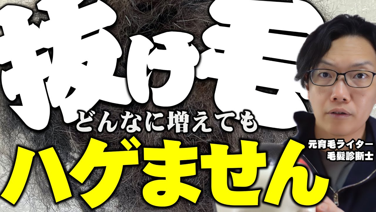 【ゴメンね育毛業者さん】中学生でもわかる抜け毛と薄毛の関係