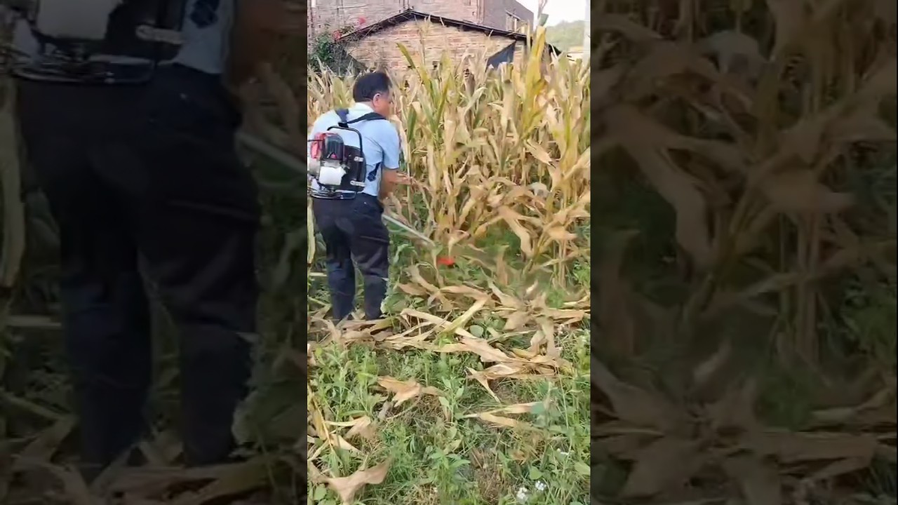 smart hand cutter for corn#tillermachine #farmequipment #agritechmachines #automobile #subscribe