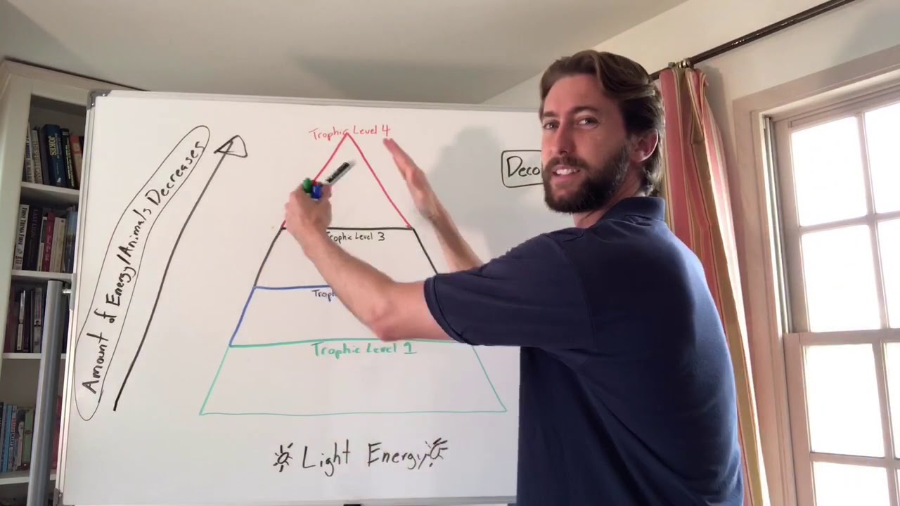 Energy Pyramid