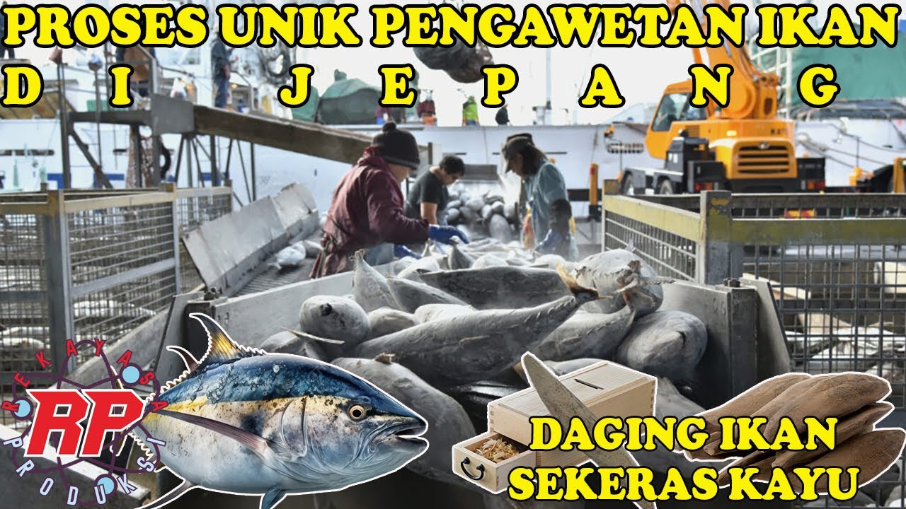 MAKANAN UNIK! PROSES PENGAWETAN IKAN JEPANG YANG MEMILIKI TEKSTUR SEPERTI KAYU KATSUOBUSHI